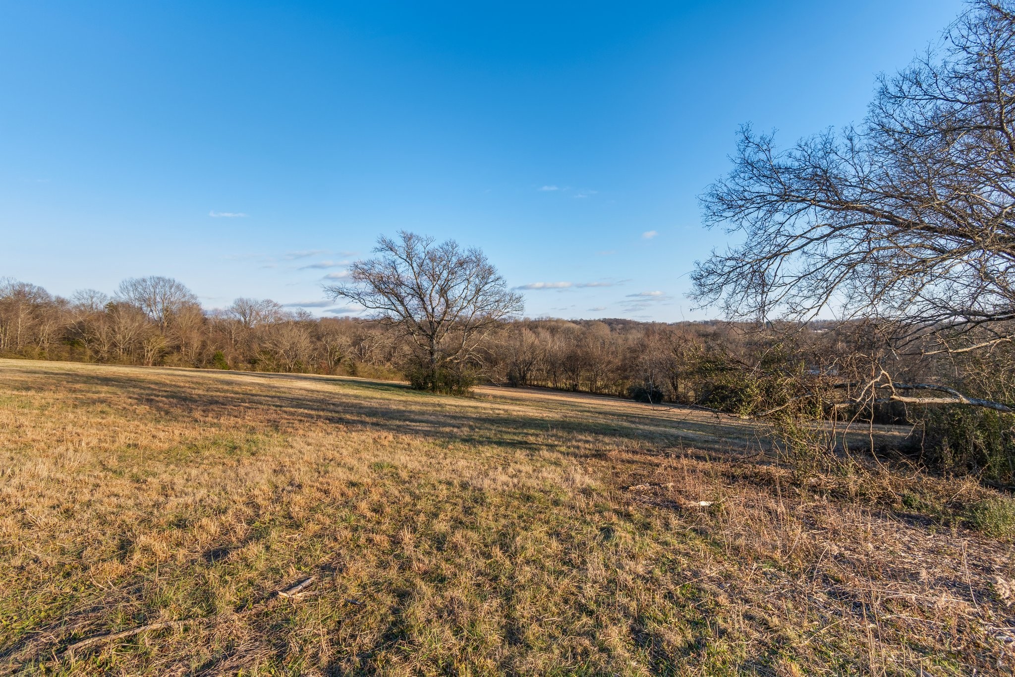 3213 Craig Bridge Road Williamsport, TN 38487 - Photo 28 of 47 a view of a yard