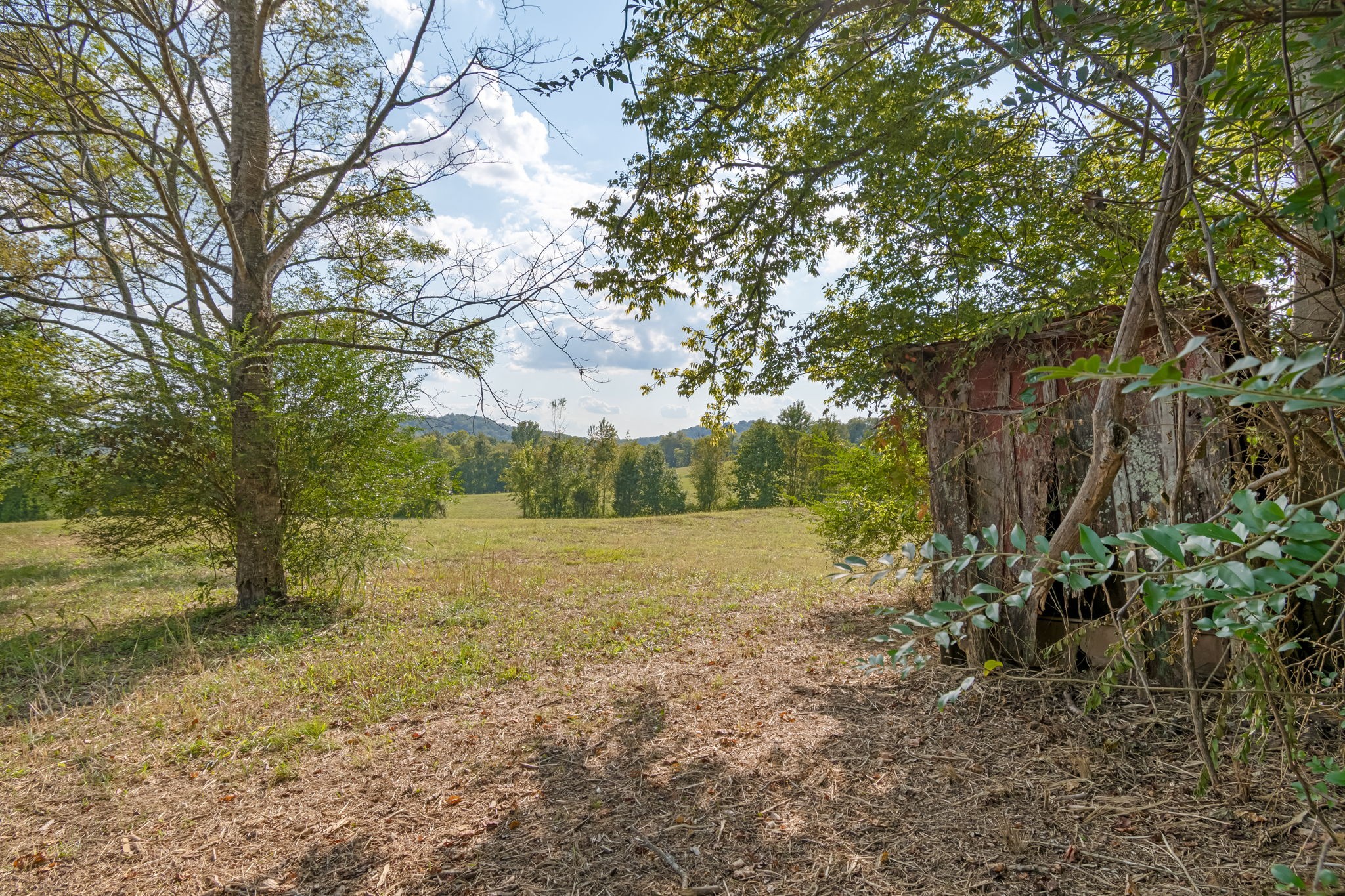 3213 Craig Bridge Road Williamsport, TN 38487 - Photo 30 of 47 a view of an outdoor space with yard