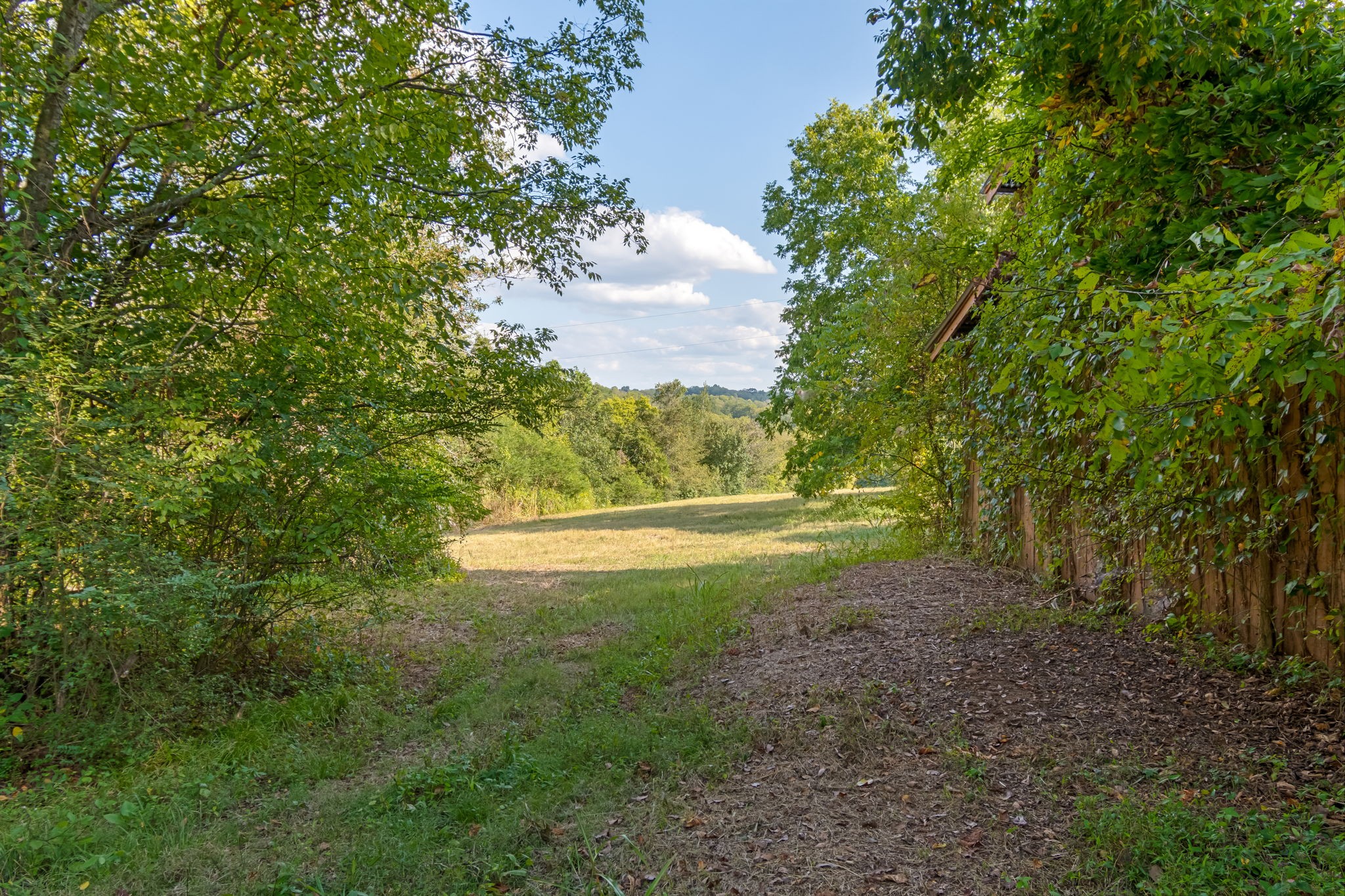 3213 Craig Bridge Road Williamsport, TN 38487 - Photo 31 of 47 a view of yard with green space