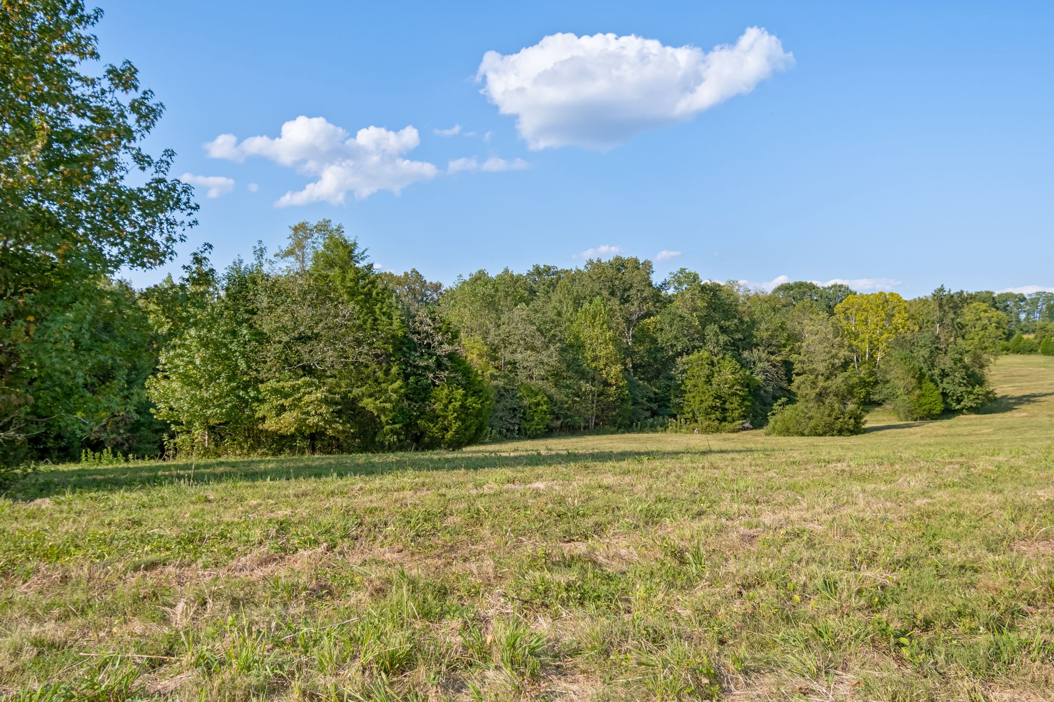 3213 Craig Bridge Road Williamsport, TN 38487 - Photo 34 of 47 a view of basketball court