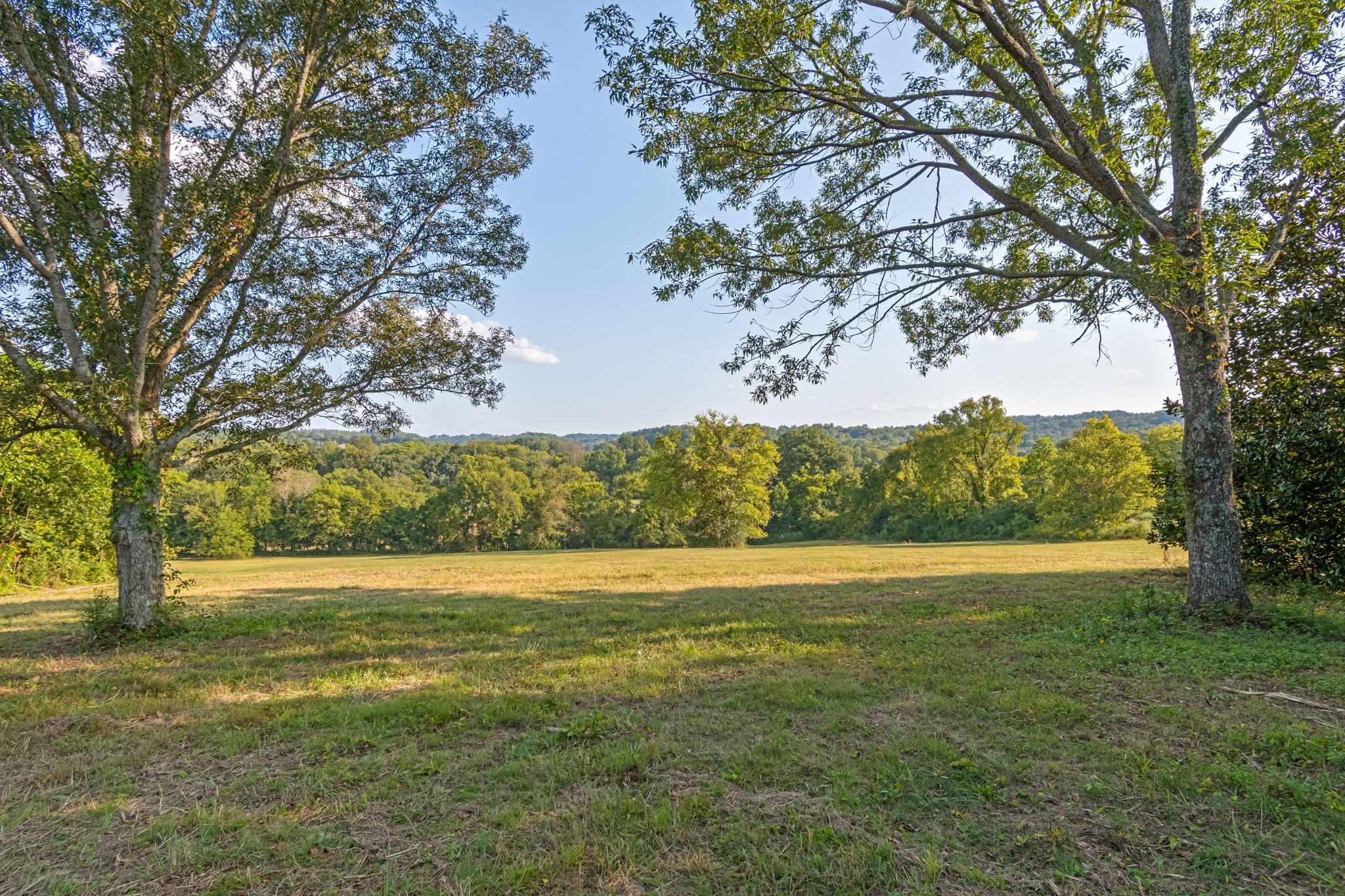 3213 Craig Bridge Road Williamsport, TN 38487 - Photo 38 of 47 a view of a field with an trees