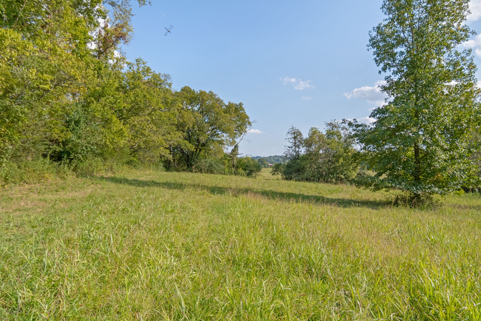 3213 Craig Bridge Road Williamsport, TN 38487 - Photo 8 of 47 a view of a lake with a yard