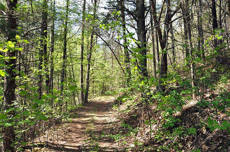 100 Baker Mountain Road Union, WV 24983 - Photo 20 of 52 Gallery Image 20