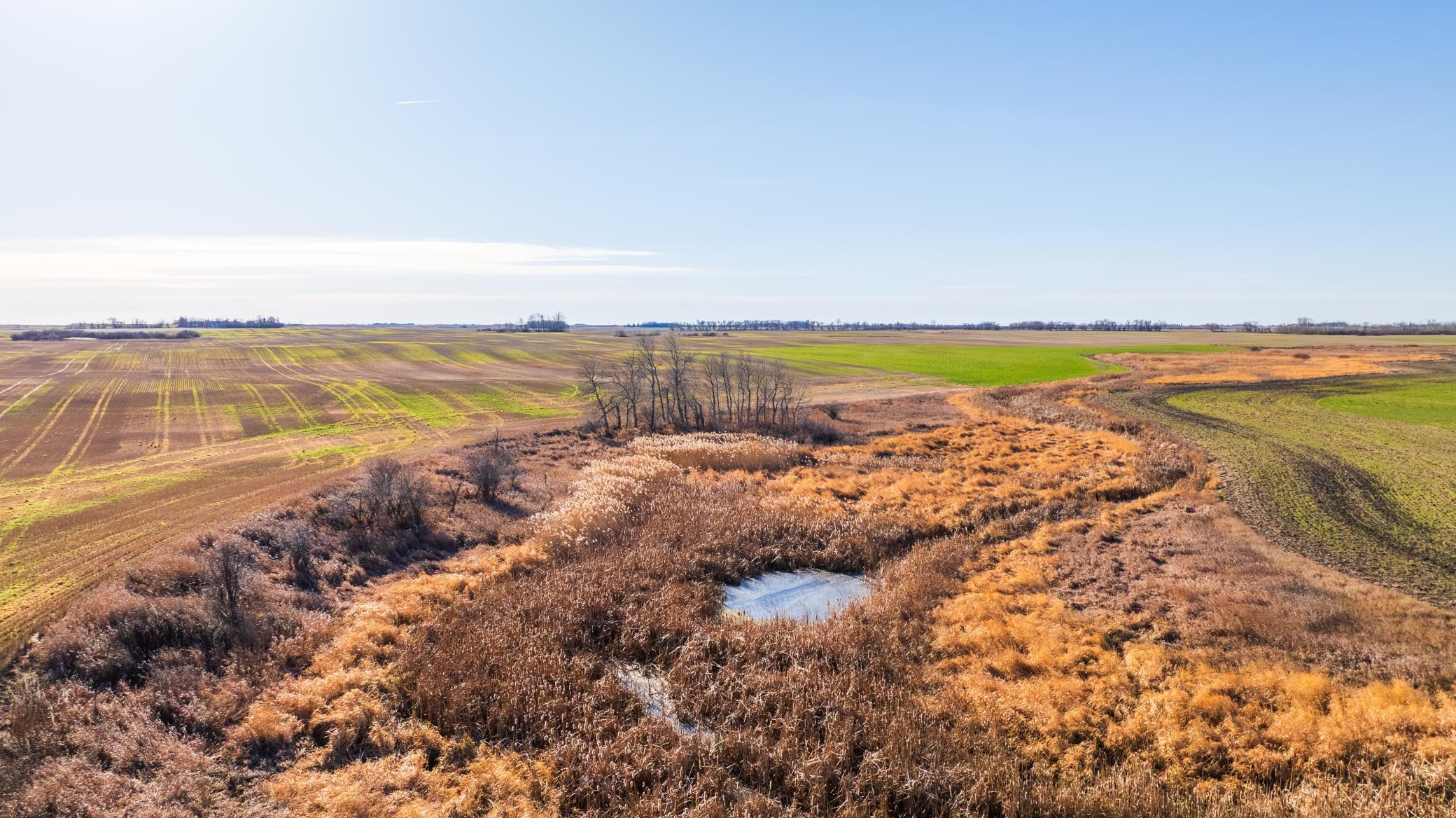 95 St Ne Parcel 1 Rolla Nd 58367 Perth, ND 58363 - Photo 5 of 10