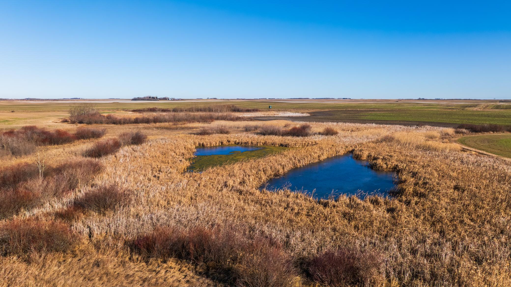 95 St Ne Parcel 1 Rolla Nd 58367 Perth, ND 58363 - Photo 6 of 10