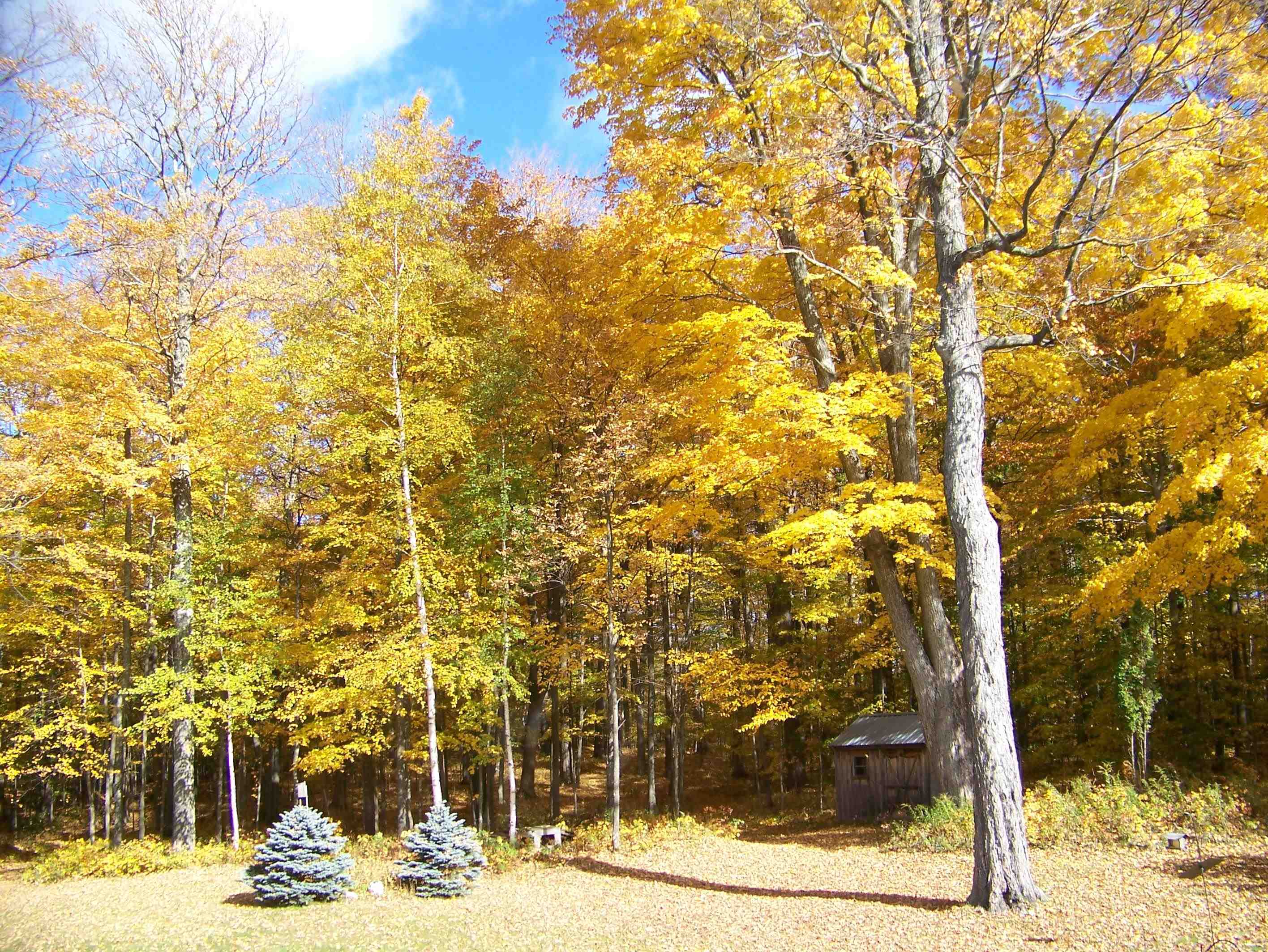 1533 Nelson Hill Road Derby, VT 05829 - Photo 16 of 48