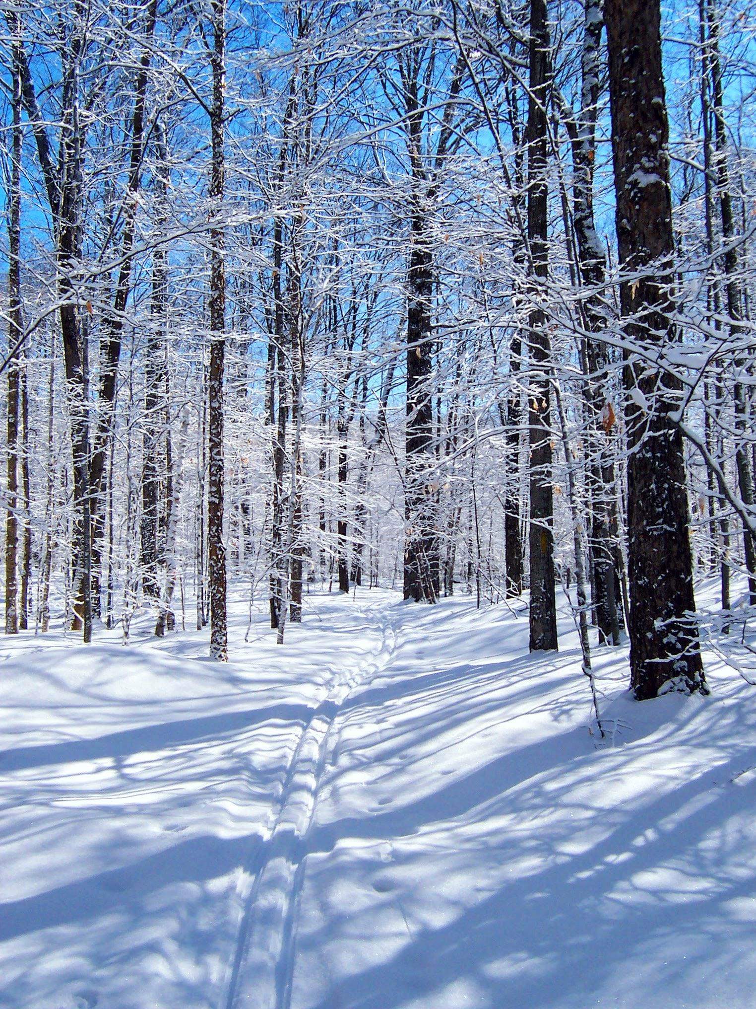 1533 Nelson Hill Road Derby, VT 05829 - Photo 21 of 48