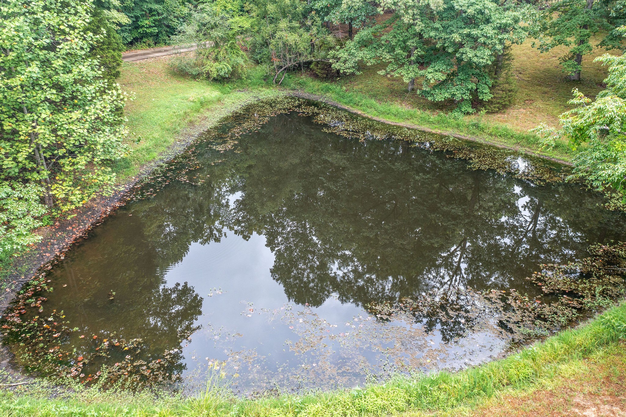 342 Highway 13 Cunningham, TN 37052 - Photo 31 of 44 a view of a lake from a yard