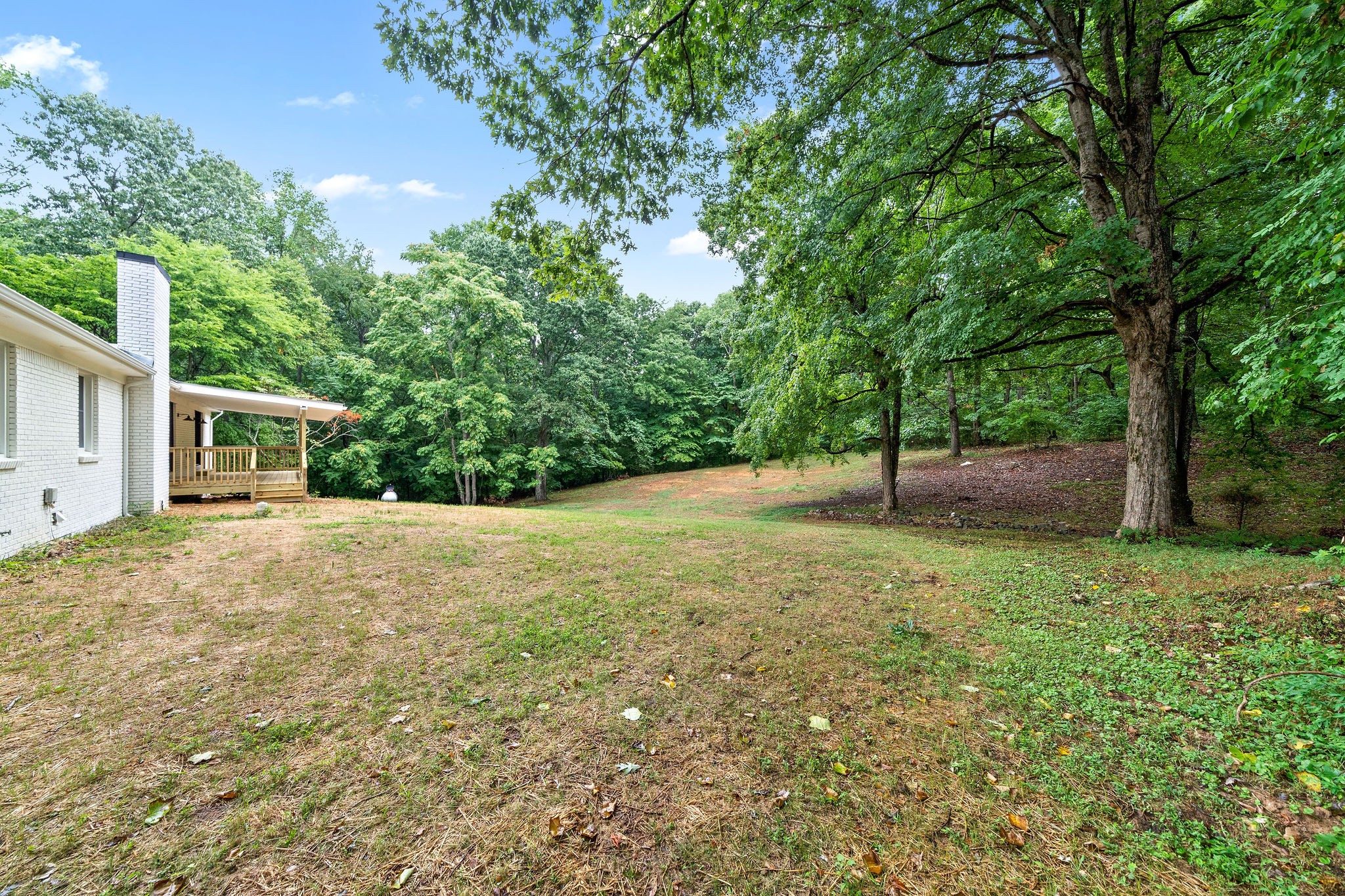 342 Highway 13 Cunningham, TN 37052 - Photo 34 of 44 a view of a house with backyard and tree