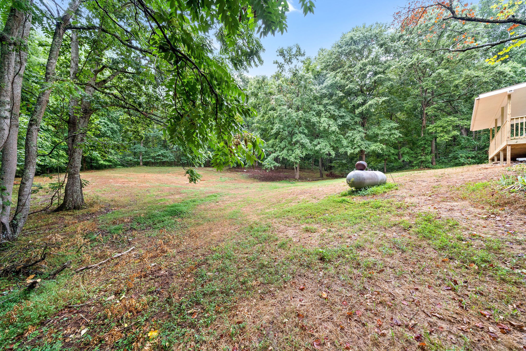 342 Highway 13 Cunningham, TN 37052 - Photo 36 of 44 a view of a field with trees