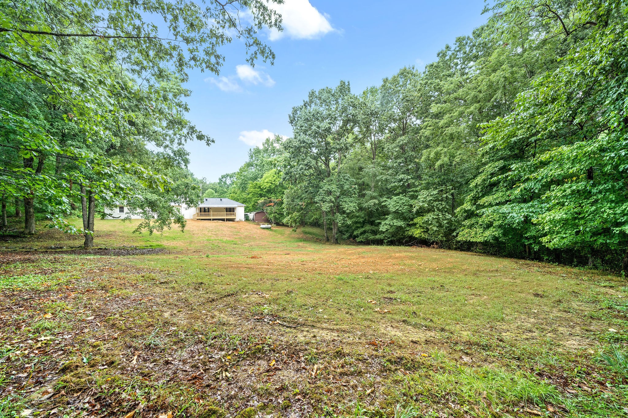 342 Highway 13 Cunningham, TN 37052 - Photo 37 of 44 a view of a field with an trees