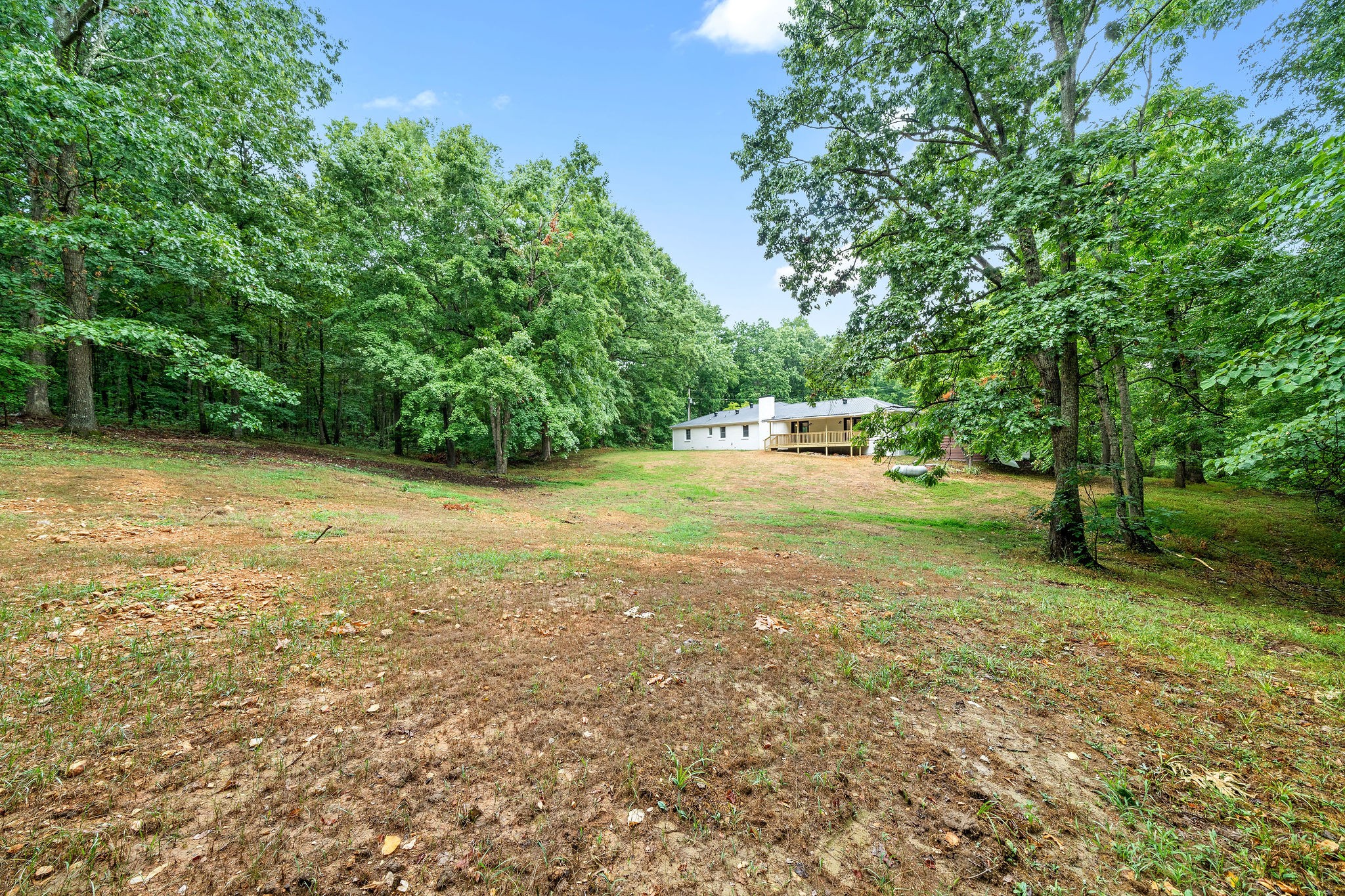 342 Highway 13 Cunningham, TN 37052 - Photo 38 of 44 a view of a field with trees in the background