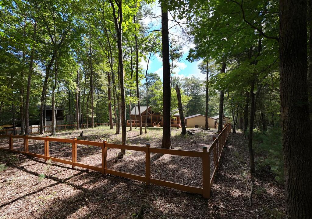200 Renegade Ridge Road Blairsville, GA 30512 - Photo 7 of 56 Gallery Image 7