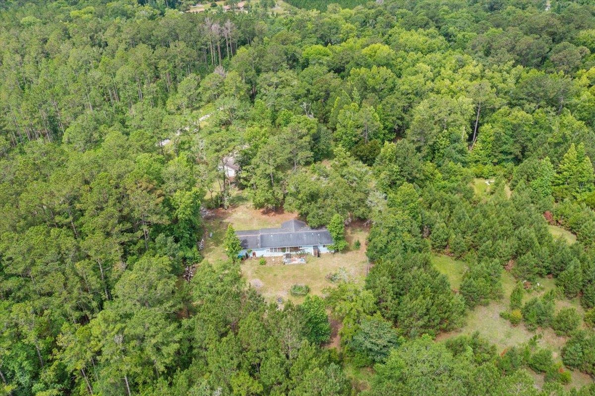 a view of a forest with a lake