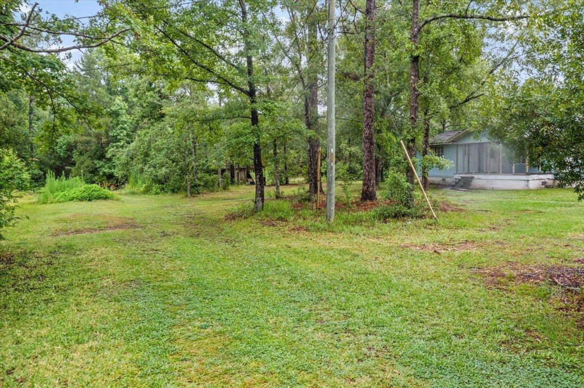 3093-1 Lannie Road Jacksonville, FL 32218 - Photo 14 of 16 a backyard of a house with lots of green space
