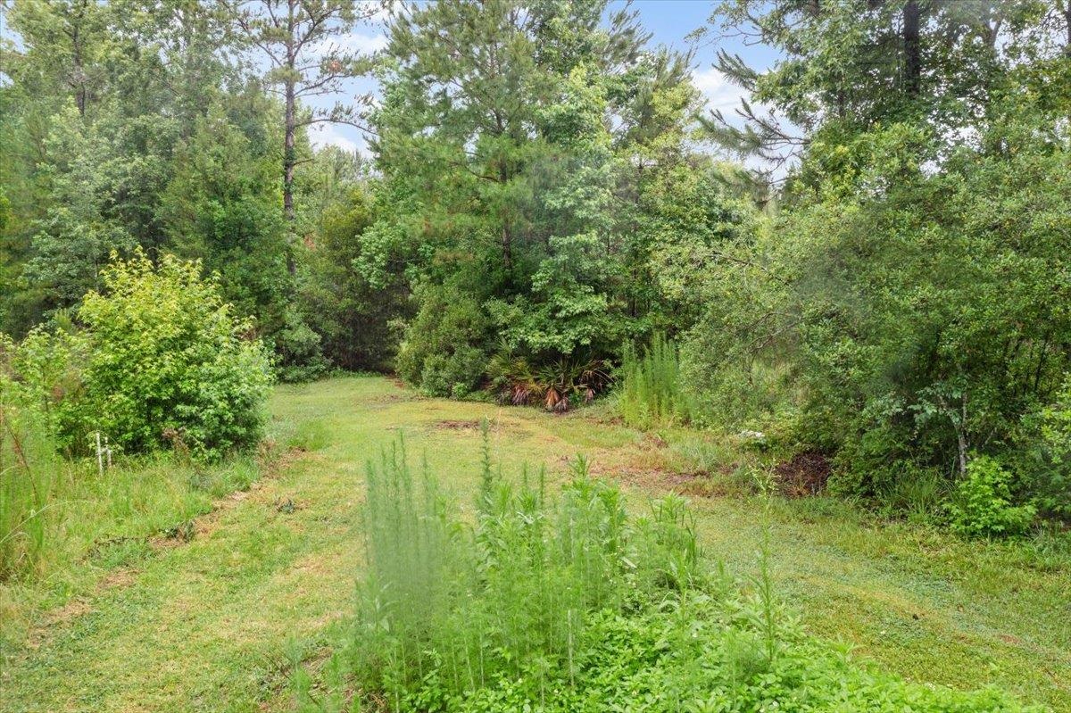 3093-1 Lannie Road Jacksonville, FL 32218 - Photo 15 of 16 a view of yard with green space