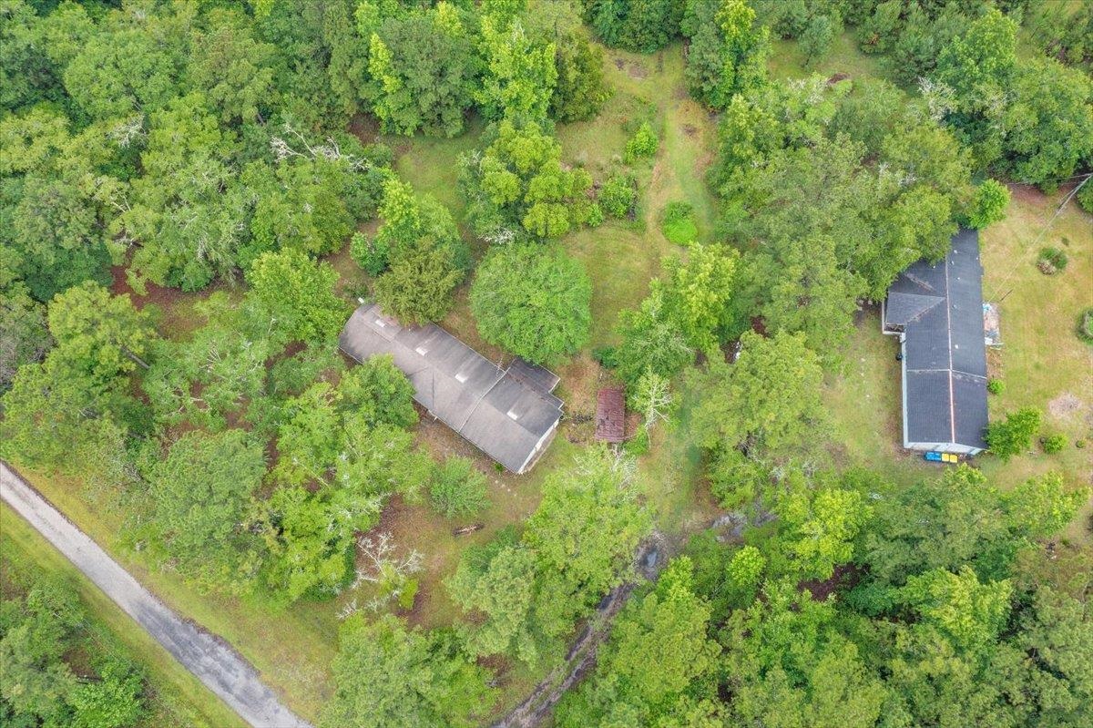 3093-1 Lannie Road Jacksonville, FL 32218 - Photo 5 of 16 a view of a garden with a tree