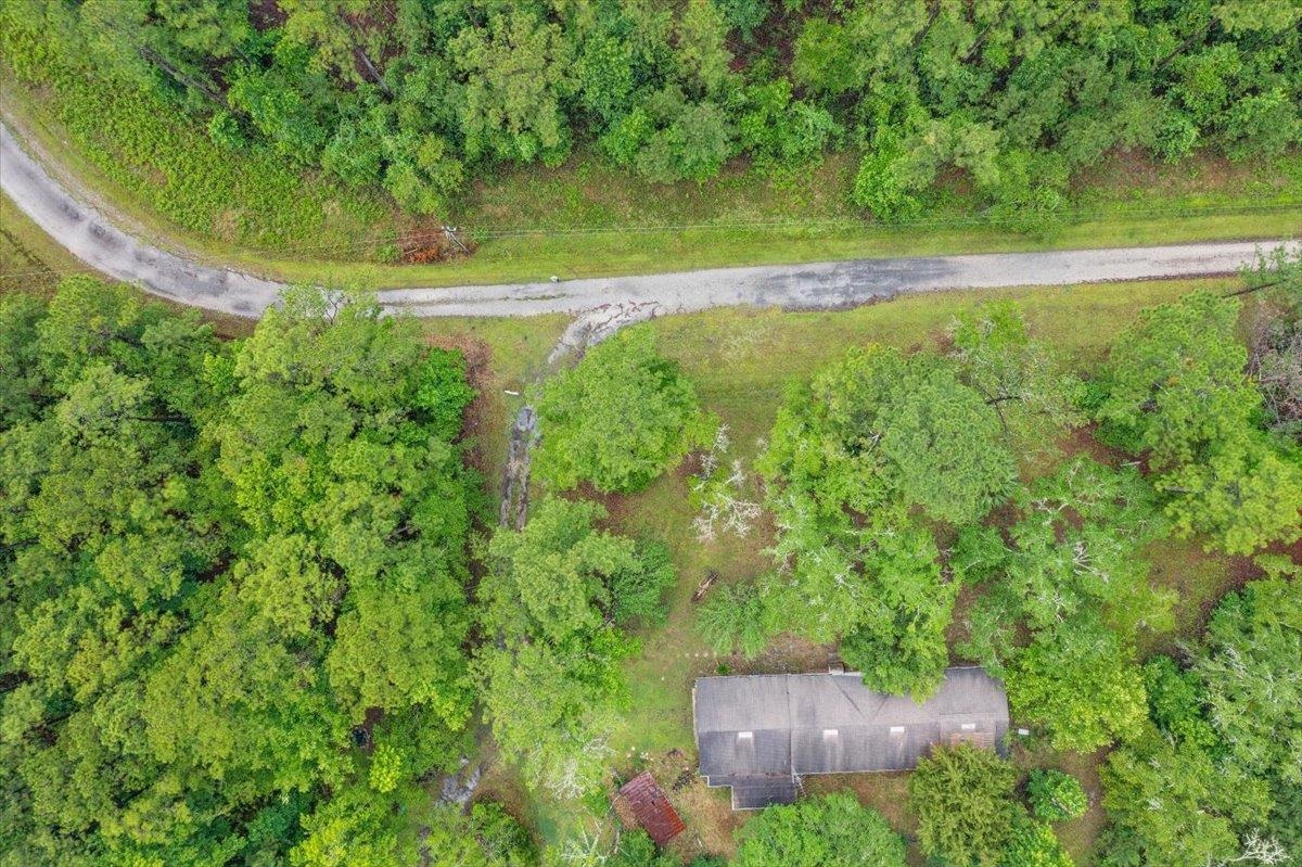 3093-1 Lannie Road Jacksonville, FL 32218 - Photo 6 of 16 a view of a garden