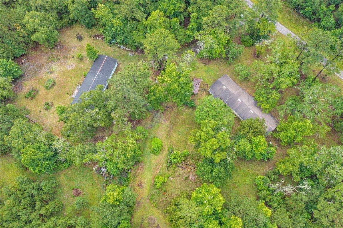 3093-1 Lannie Road Jacksonville, FL 32218 - Photo 7 of 16 a close up of a plant in a garden
