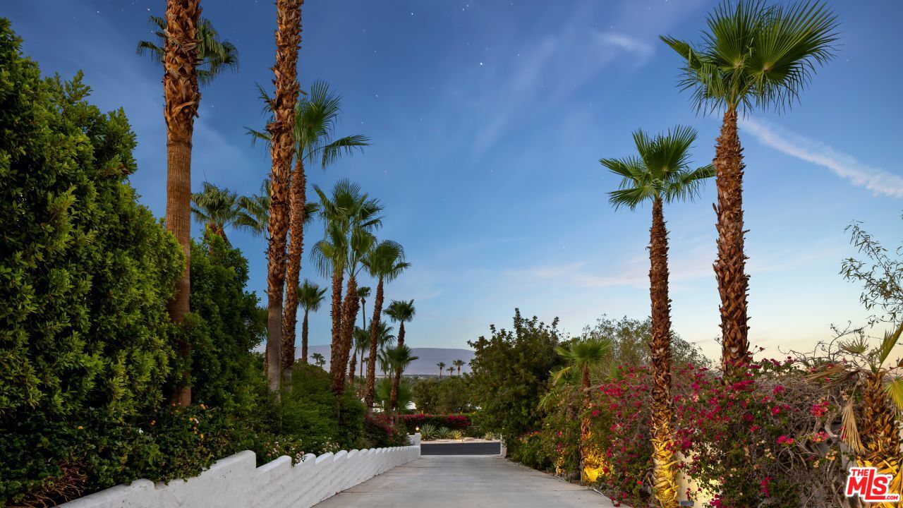 70375 Calico Road Rancho Mirage, CA 92270 - Photo 46 of 46 a view of a palm tree with a palm plant