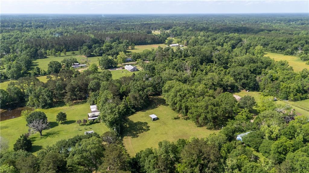 81450 Robert Road Covington, LA 70435 - Photo 37 of 52