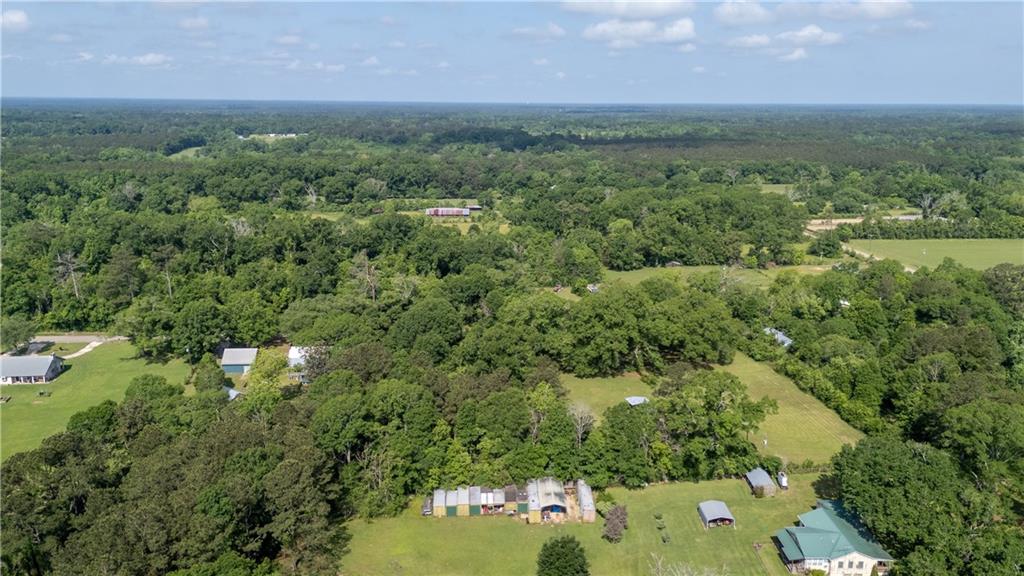 81450 Robert Road Covington, LA 70435 - Photo 39 of 52