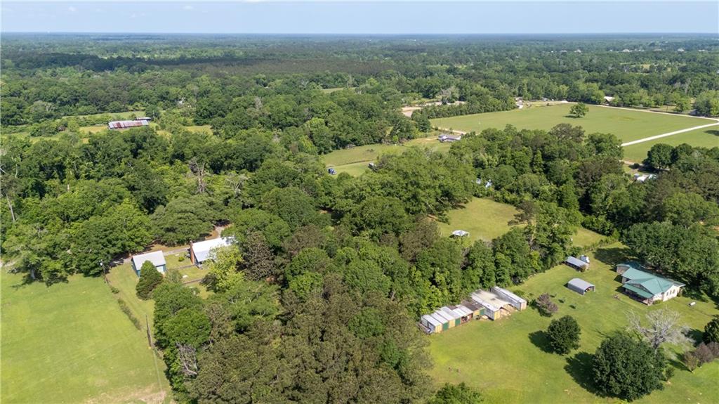 81450 Robert Road Covington, LA 70435 - Photo 40 of 52