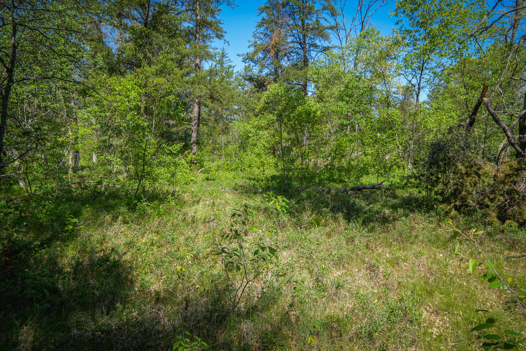 4364 West 4 Mile Road Irons, MI 49644 - Photo 33 of 39 4364 W 4 Mile Rd. Pic 33