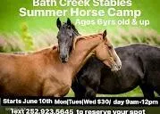 $48,000 | Lots12-13 Lots12-13 Sabre Pointe Drive, Bath, NC 27808