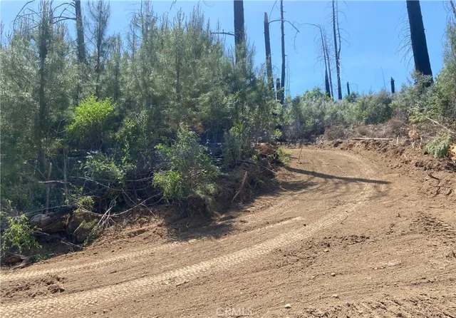 a view of a backyard of the house