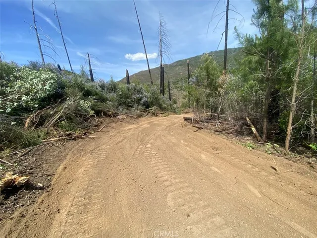 a view of a backyard of the house
