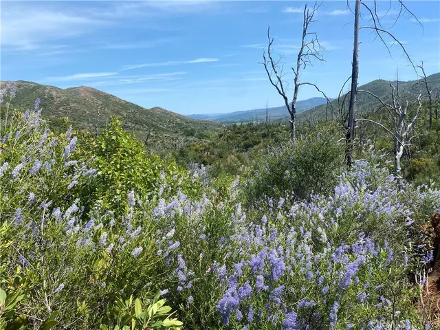 a view of a water pond with green space
