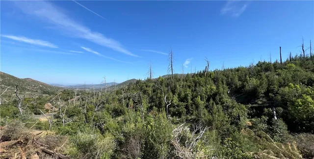 a view of a rural road with plants