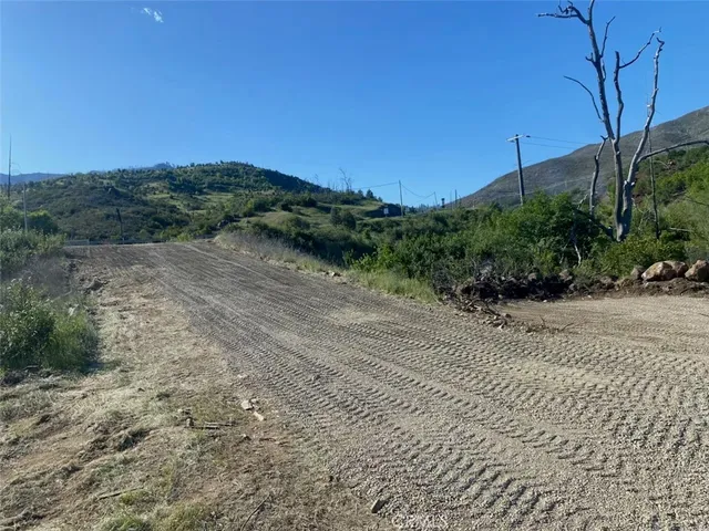 a view of a dry yard