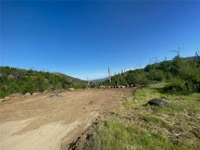 a big yard with lots of green space