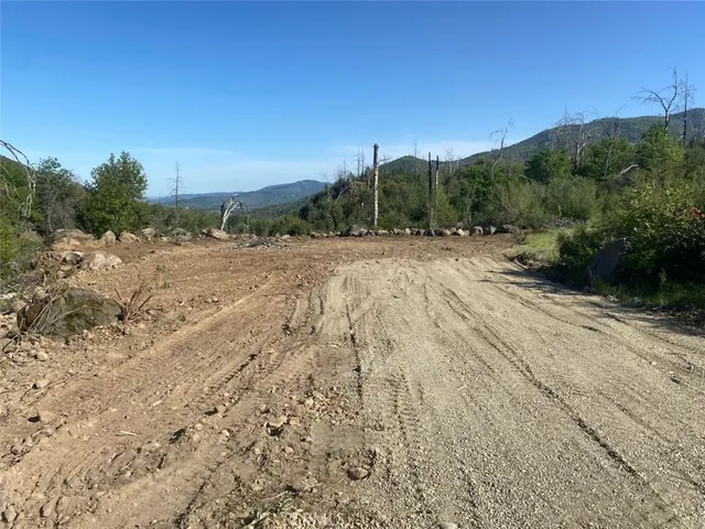 a view of a yard with a tree