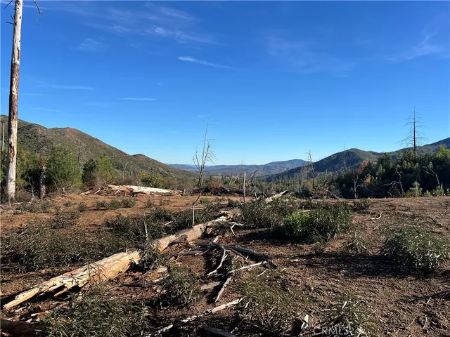 a view of a dry yard