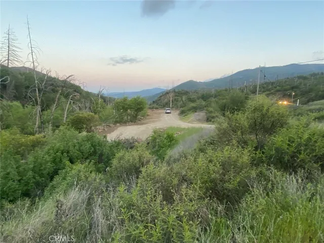 a view of a lush green space with sea