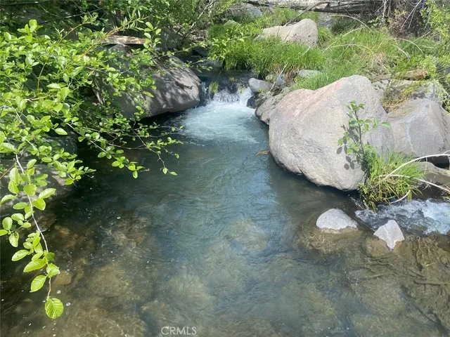 a view of a tree in a yard