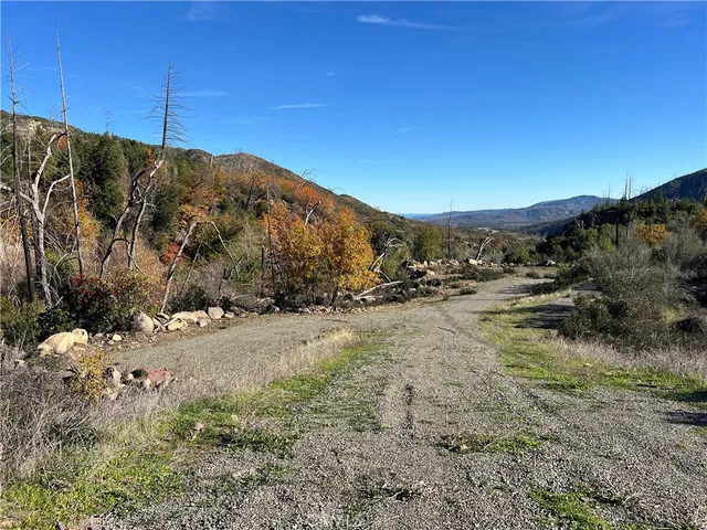 a view of a dry yard with trees