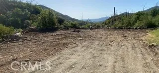 a view of a city with lush green forest