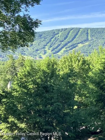 a view of a field with an ocean