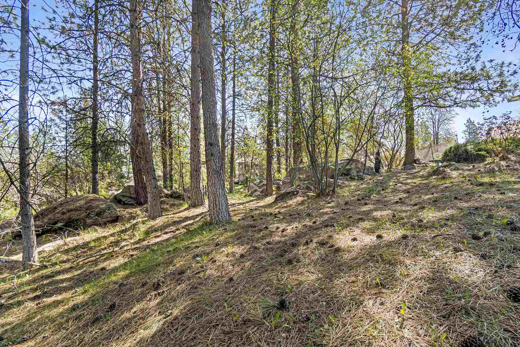 0 South Hazel Road Spokane Valley, WA 99212 - Photo 8 of 10 Gallery Image 8