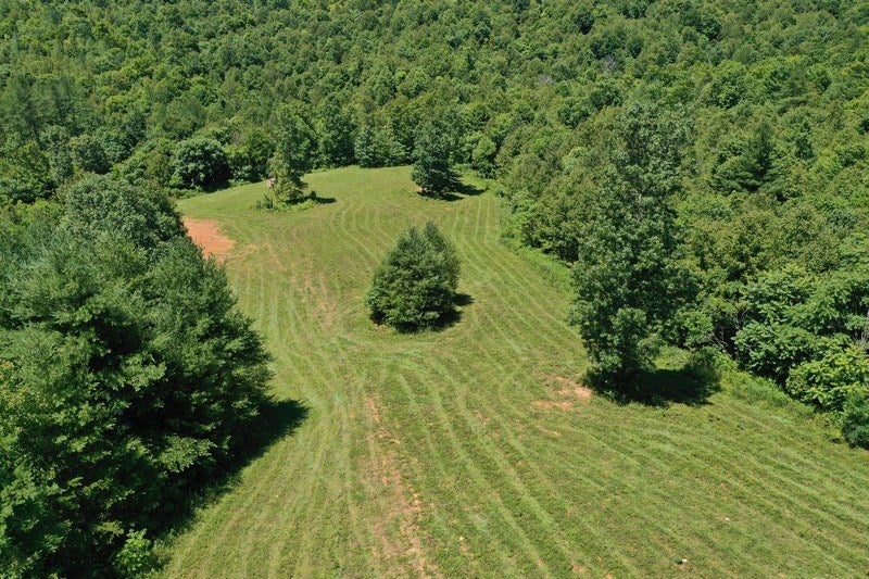 Johnnys Ridge Road Ferrum, VA 24088 - Photo 17 of 49 Gallery Image 17