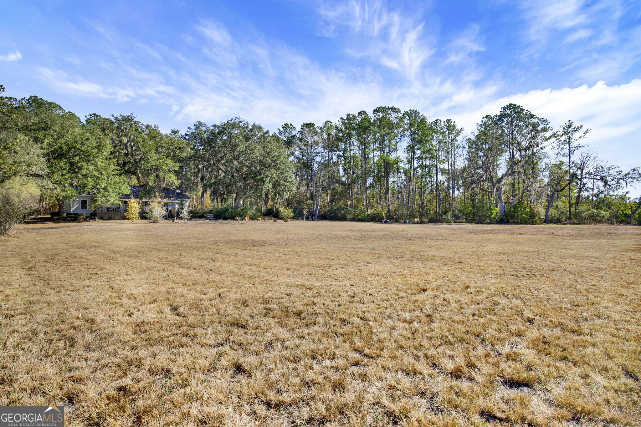 1262 Doodle Hill Road Northeast Townsend, GA 31331 - Photo 38 of 44 a backyard of a house with lots of green space