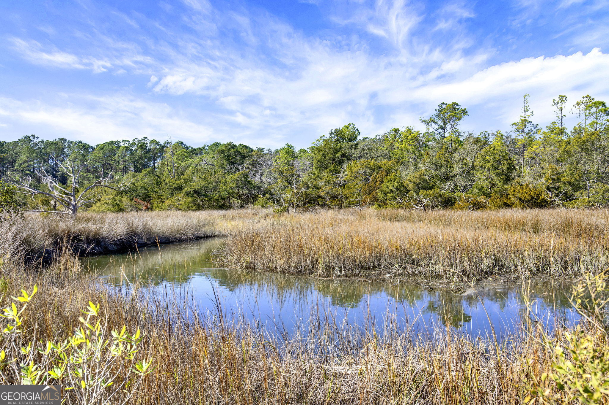 1262 Doodle Hill Road Northeast Townsend, GA 31331 - Photo 39 of 44 a view of lake with green space