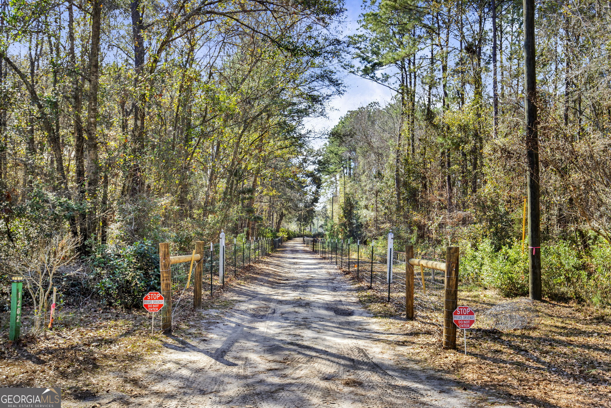 1262 Doodle Hill Road Northeast Townsend, GA 31331 - Photo 40 of 44 a road view with tall trees