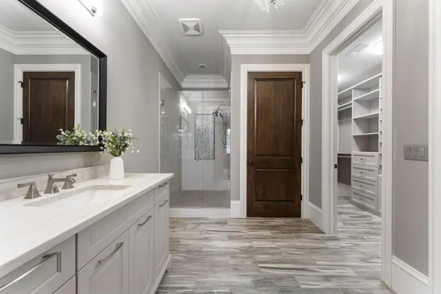 a view of a forest filled with trees