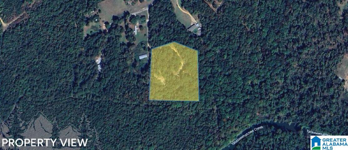 511 Old Creek Road Ohatchee, AL 36271 - Photo 4 of 11