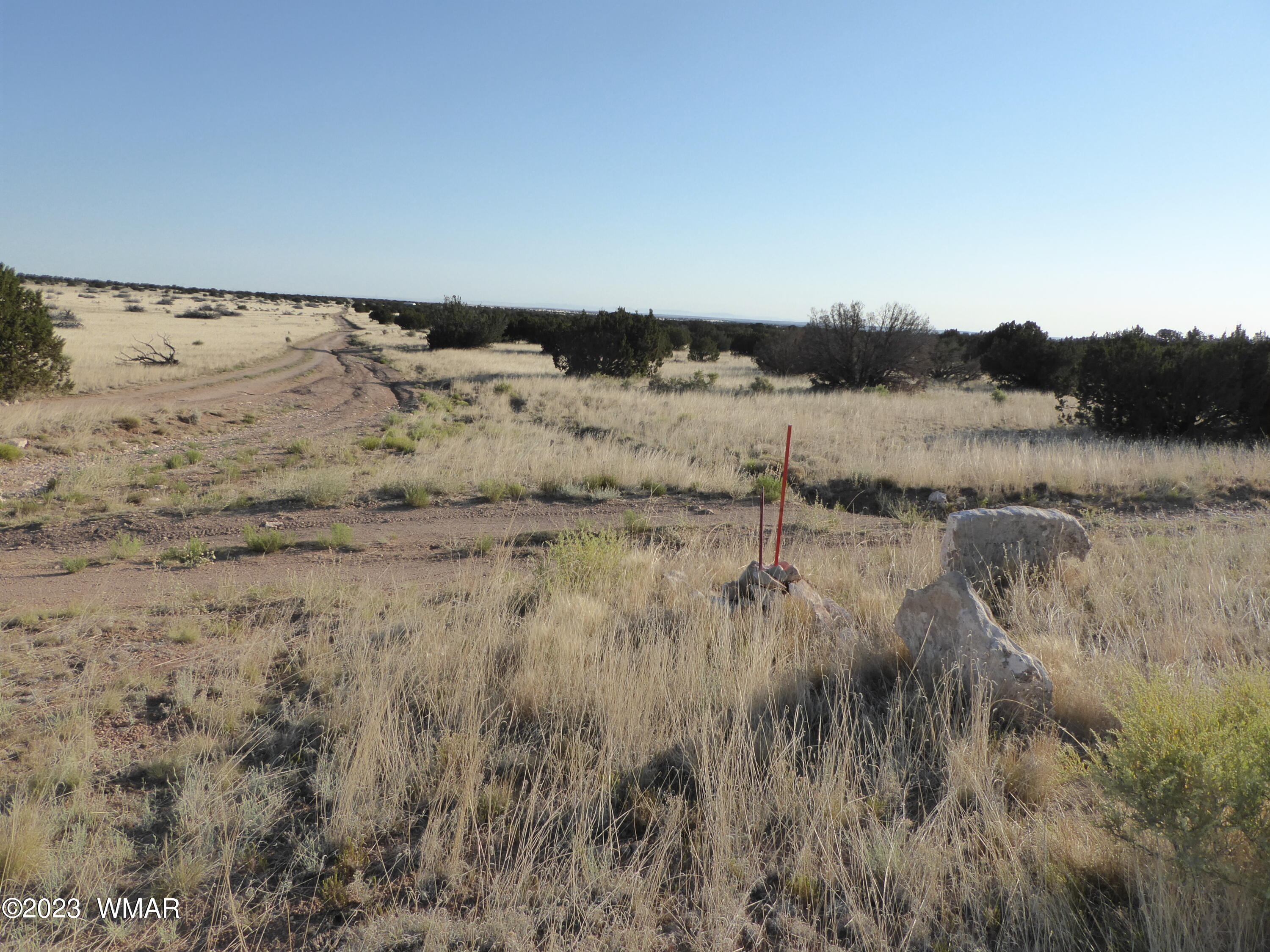 Tbd Buffington Hill Road Heber, AZ 85928 - Photo 4 of 8